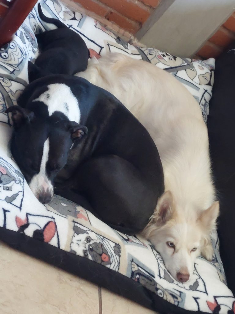 Imagen #1 de Elizabeth Ramírez Olalde