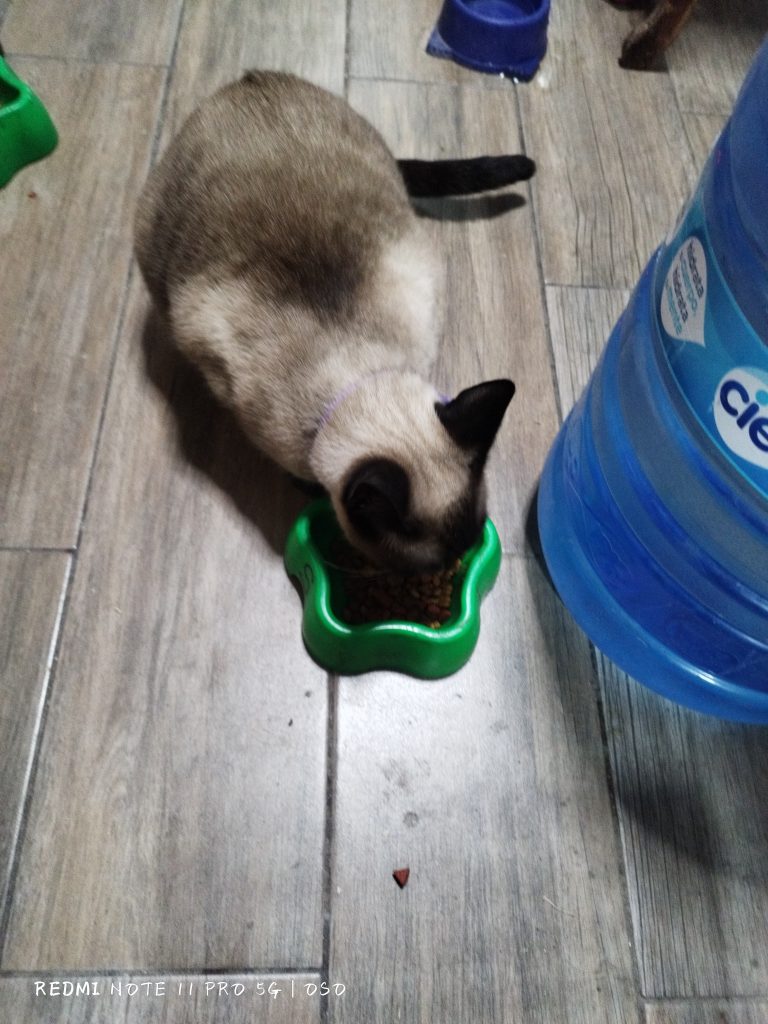 Imagen #1 de Jose Daniel Sanchez