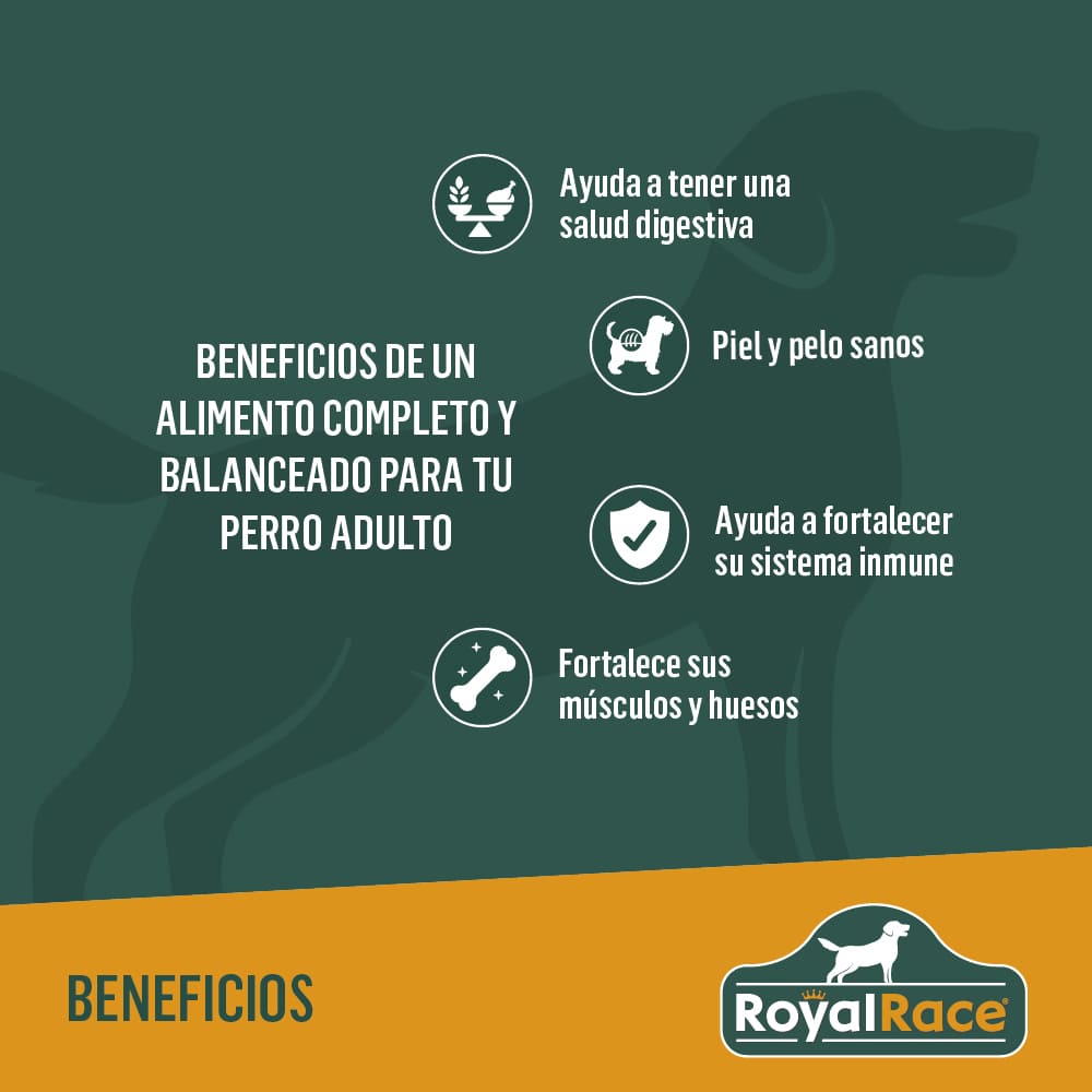 Perro Adulto Razas Medianas y Grandes 4kg Royal Race - Image 3