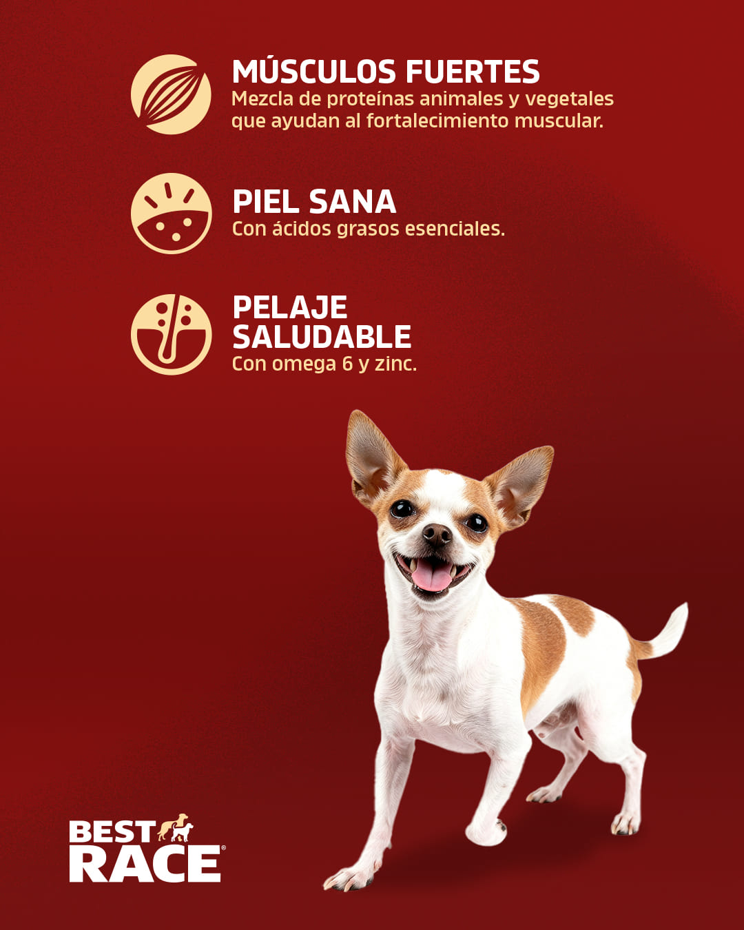 4 Post Carrusel Best Race2