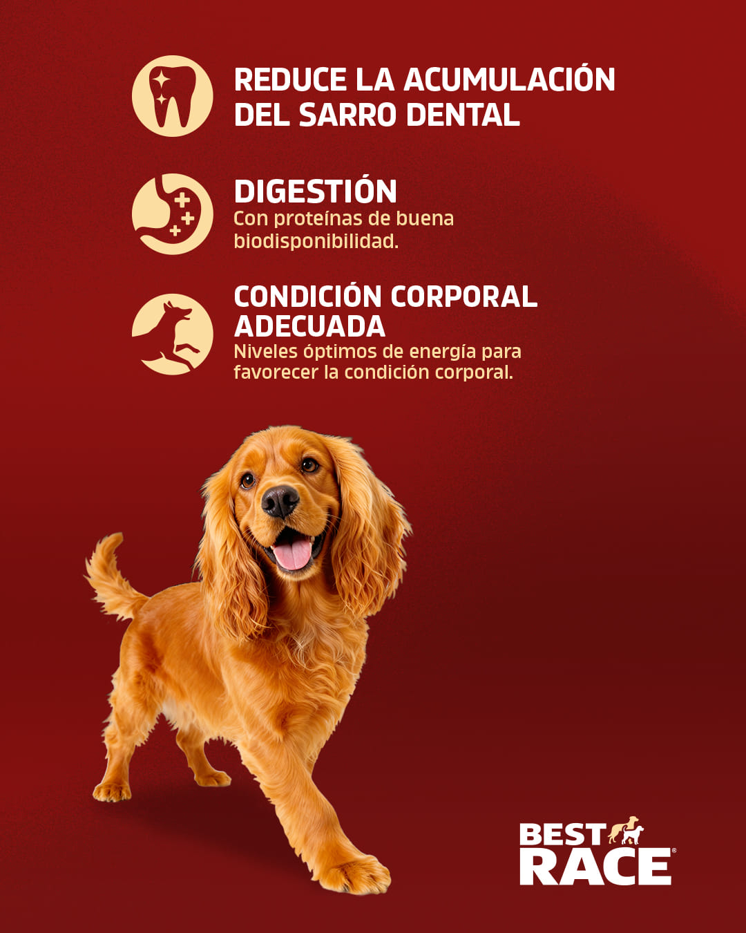 4 Post Carrusel Best Race3