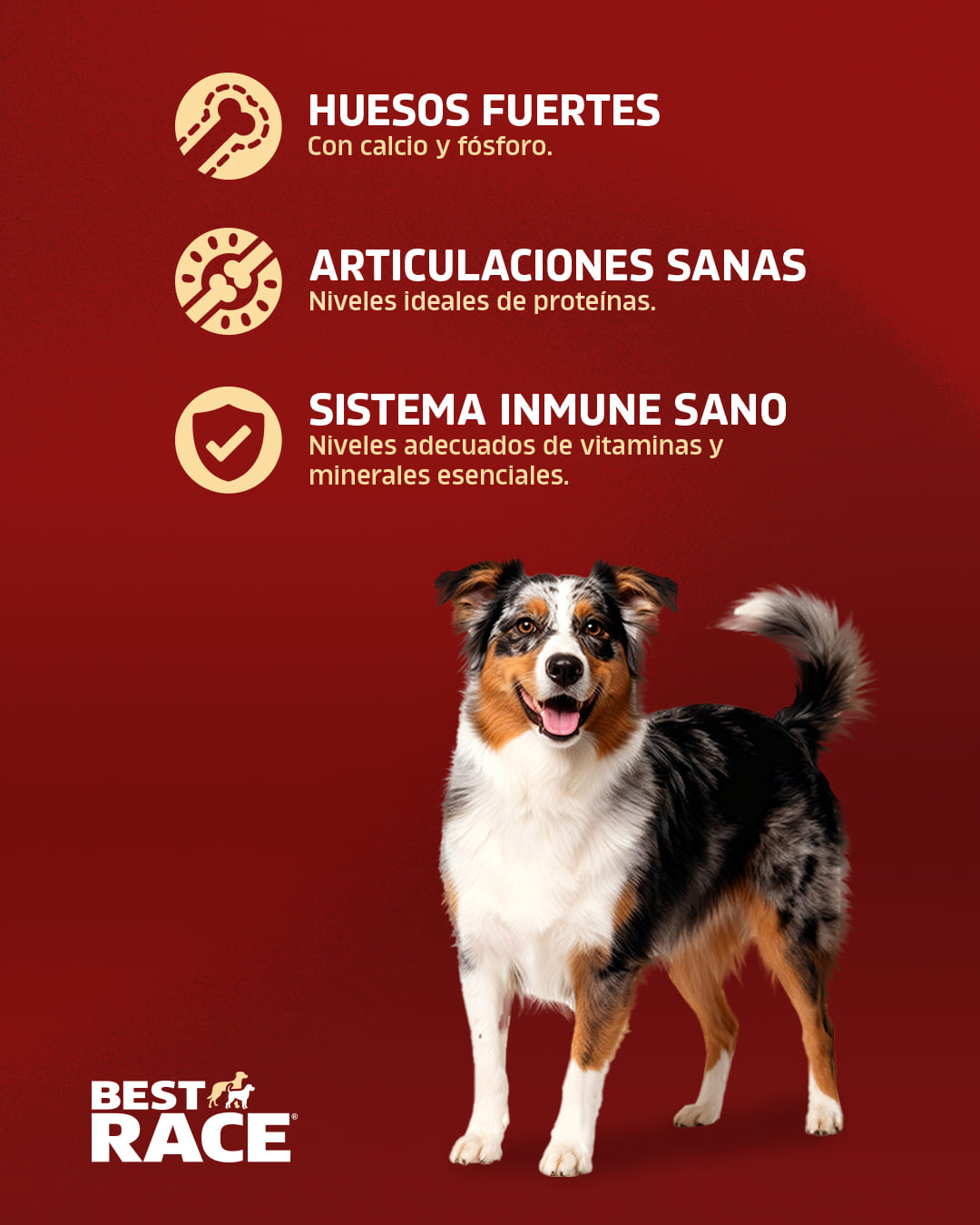 4 Post Carrusel Best Race4 (2)